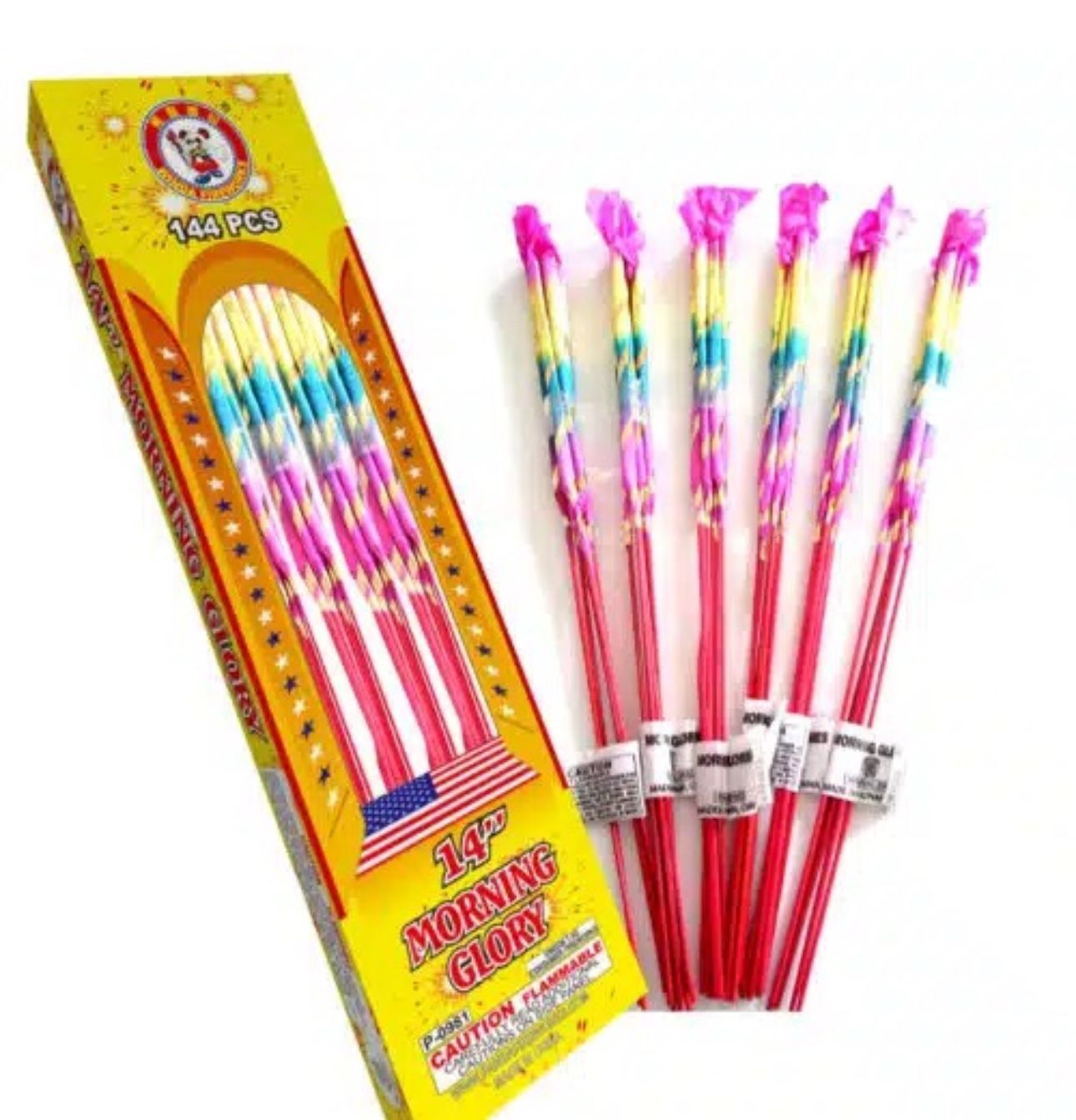 14" Morning Glory (pack of 6)